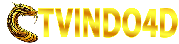 TVINDO4D LOGO